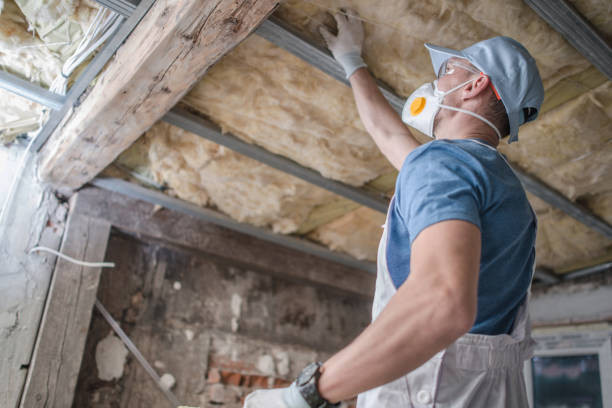 Best Energy-efficient Insulation  in North Hartsville, SC