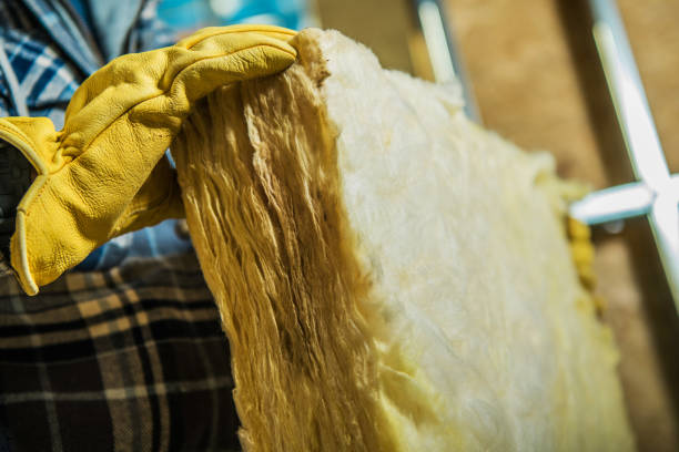 Best Insulation Inspection Services  in North Hartsville, SC