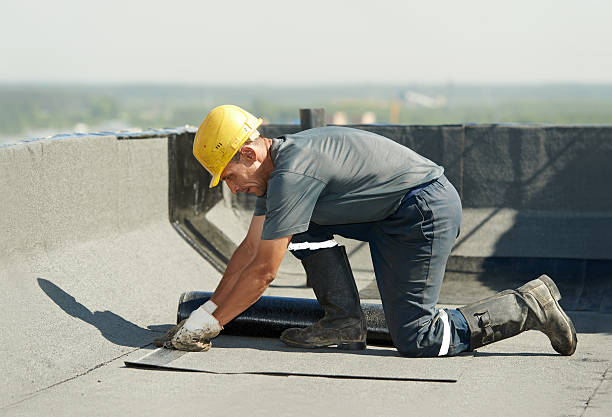 Best Insulation Repair Services  in North Hartsville, SC