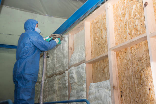 Best Home Insulation Services  in North Hartsville, SC