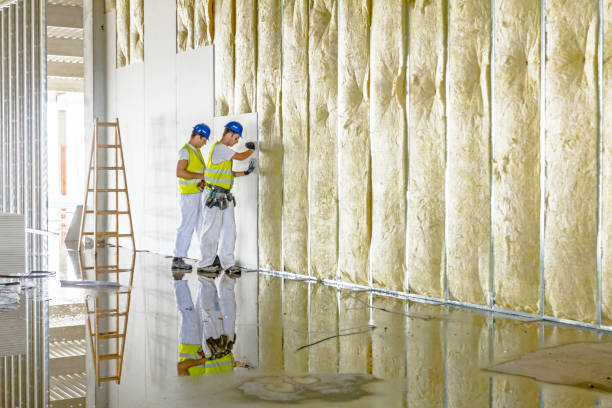 Best Attic Insulation Installation  in North Hartsville, SC